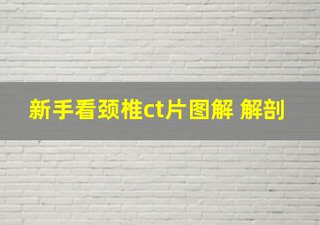 新手看颈椎ct片图解 解剖